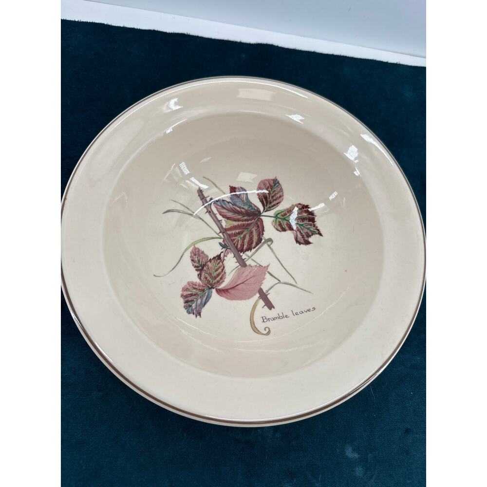 Noritake Country Diary Bramble Leaves 9 Inch Serving Bowl Ireland Cottage
